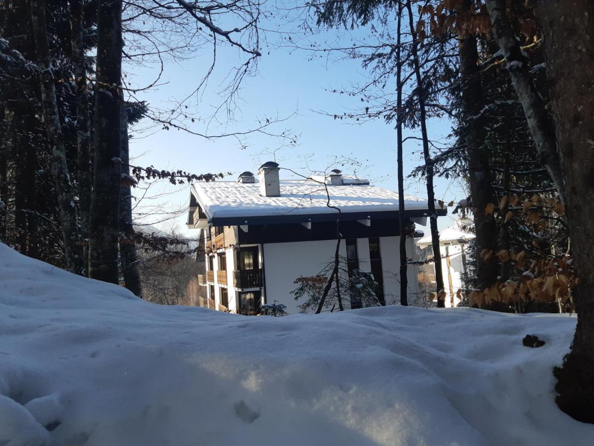 Appartement En Station De Ski A 700 M Des Telecabines Et 100 M Du Centre-Village Ле-Карроз-д'Араш Экстерьер фото